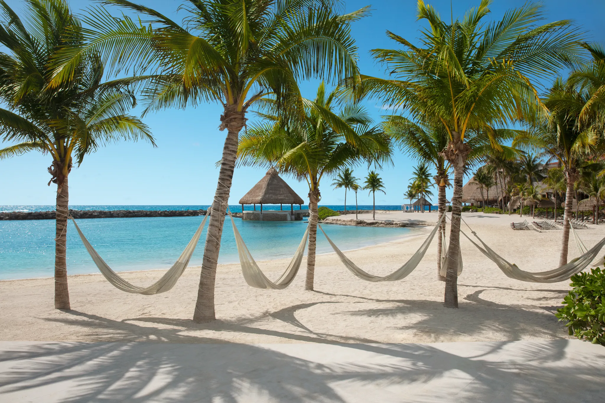 Hammocks strung between palm trees on a sandy beach at Dreams Aventuras Riviera Maya.